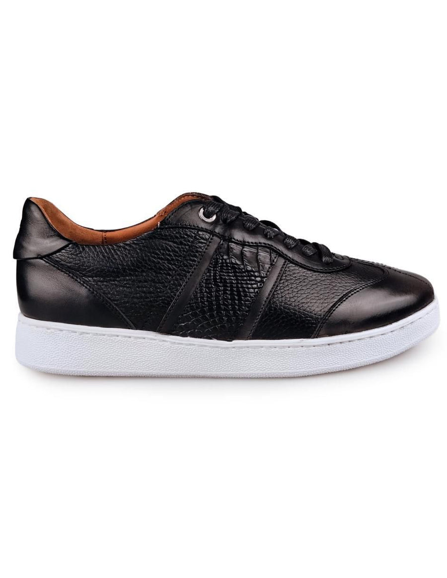 Falco Lotto